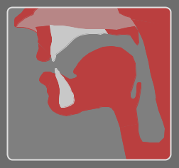 Vowel Demonstrator Vocal Tract