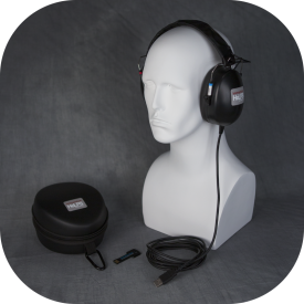 Immersive Hearing Loss and Prosthesis Simulator